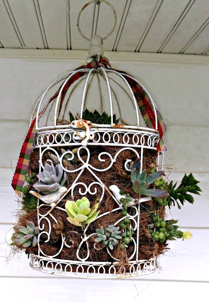 Blossoming Succulent Birdcage Hanging Planter