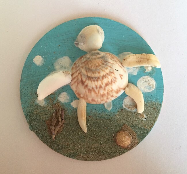 Sea Turtle Shell Art Home Decoration