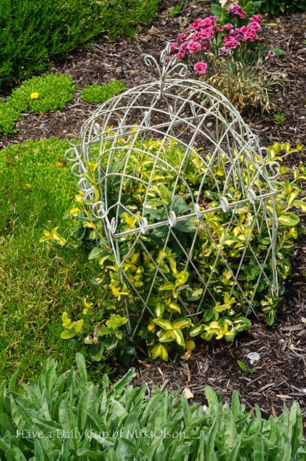 Outdoor Garden Birdcage Plant Dome