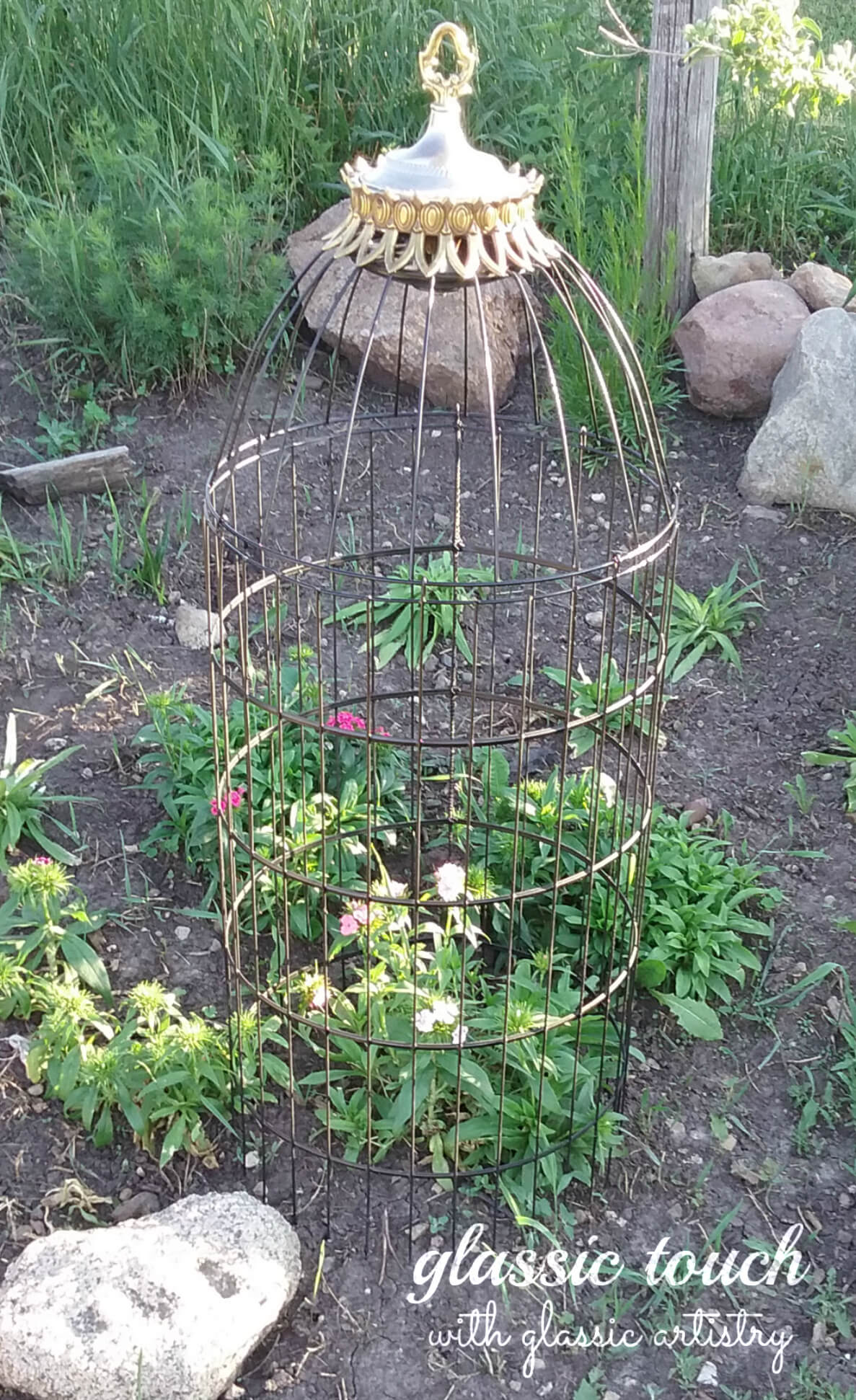Long and Lean Birdcage Garden Cloche