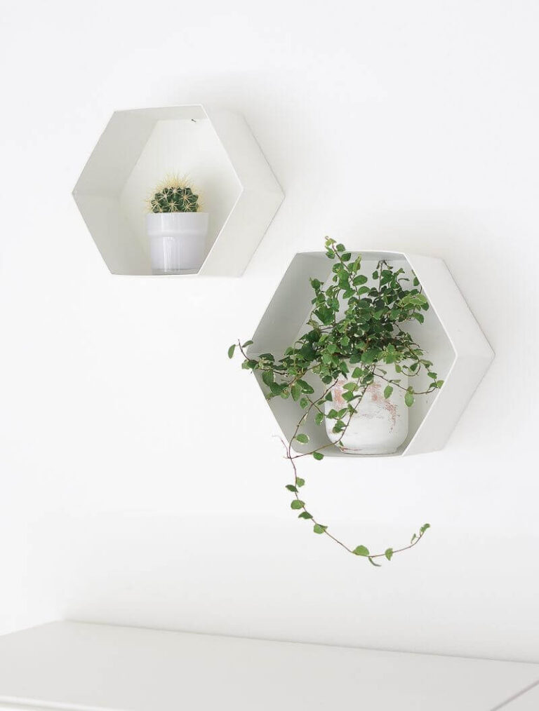 hanging wall vases and planters ideas