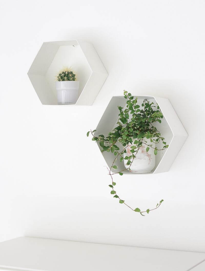 Minimalist Wall Decorations With Plant Life