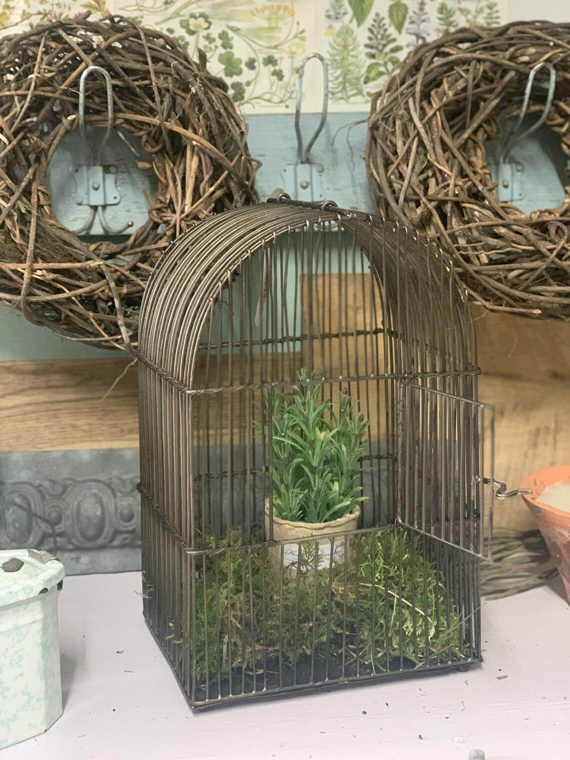 Muted Brass Birdcage Moss and Herb Garden