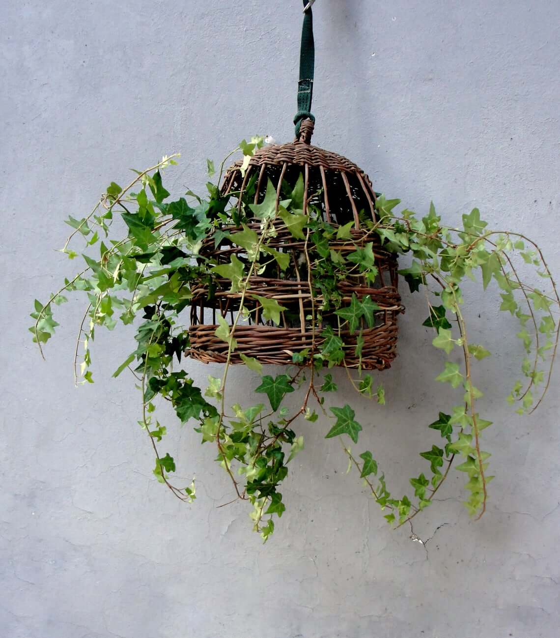 Woven Basket Birdcage Suspended Hanging Planter