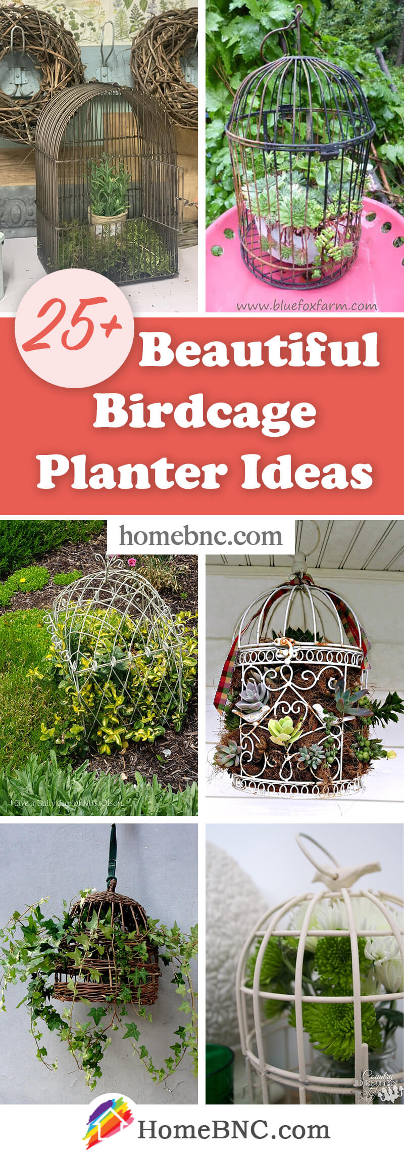 Birdcage Planters