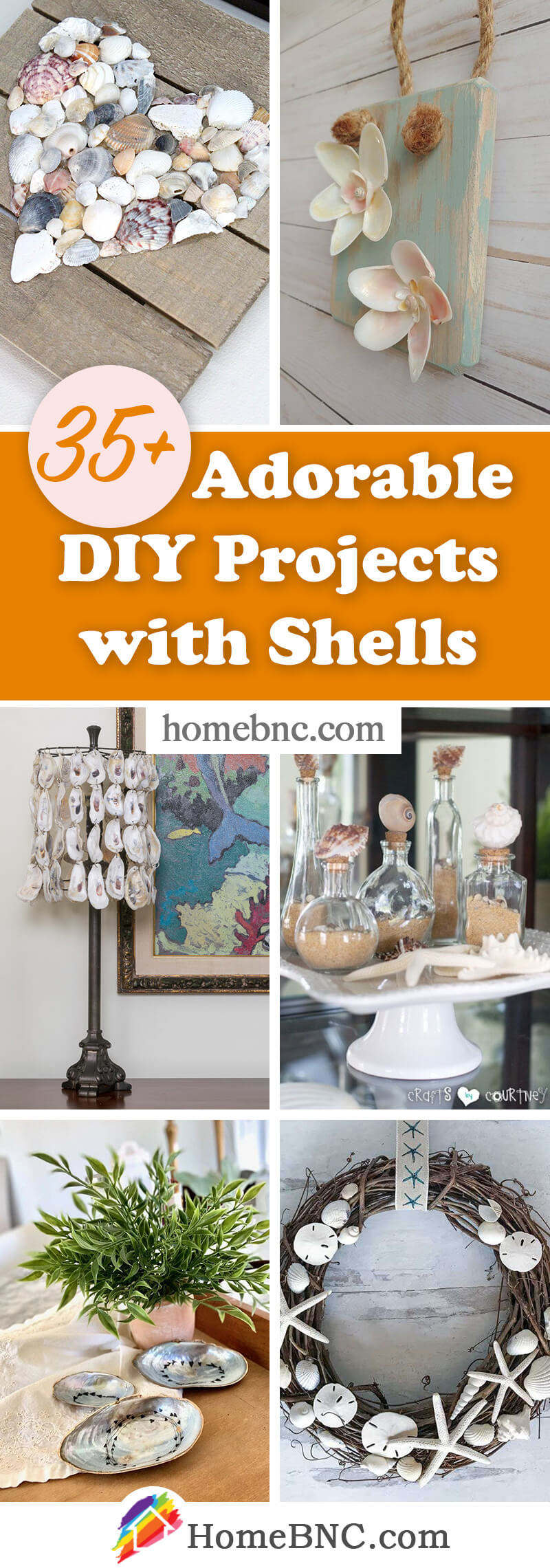 Best DIY Shell Ideas — Homebnc