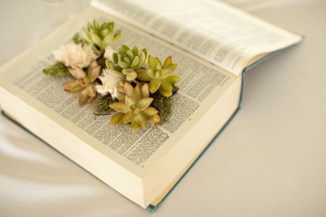 Beautiful Succulent Homemade Book Planter