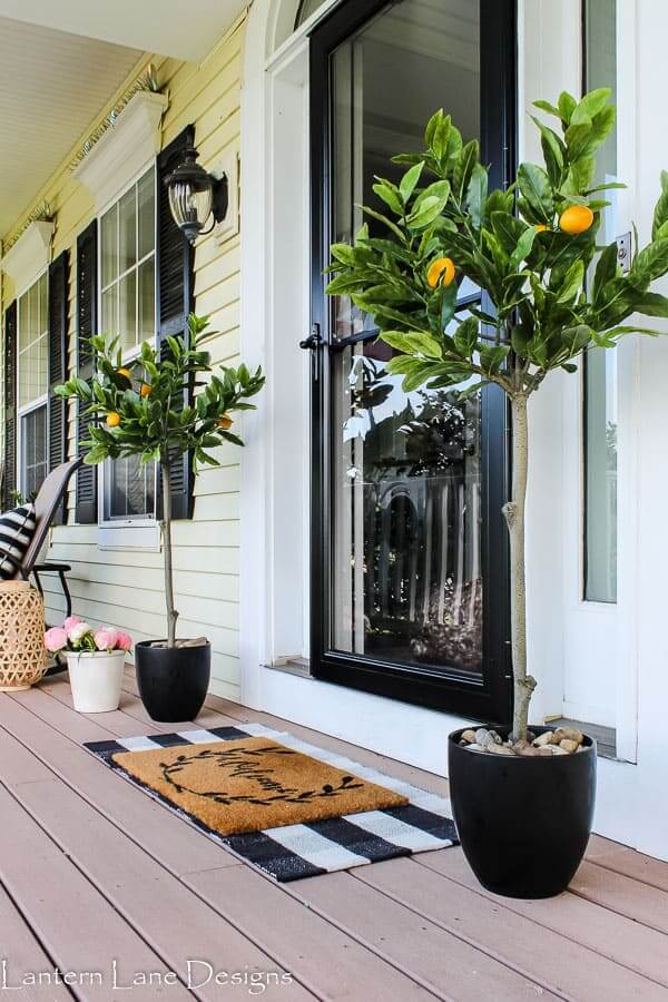 Easy Peezy Lemon Squeezy Set of Trees to Decorate Your Front Door