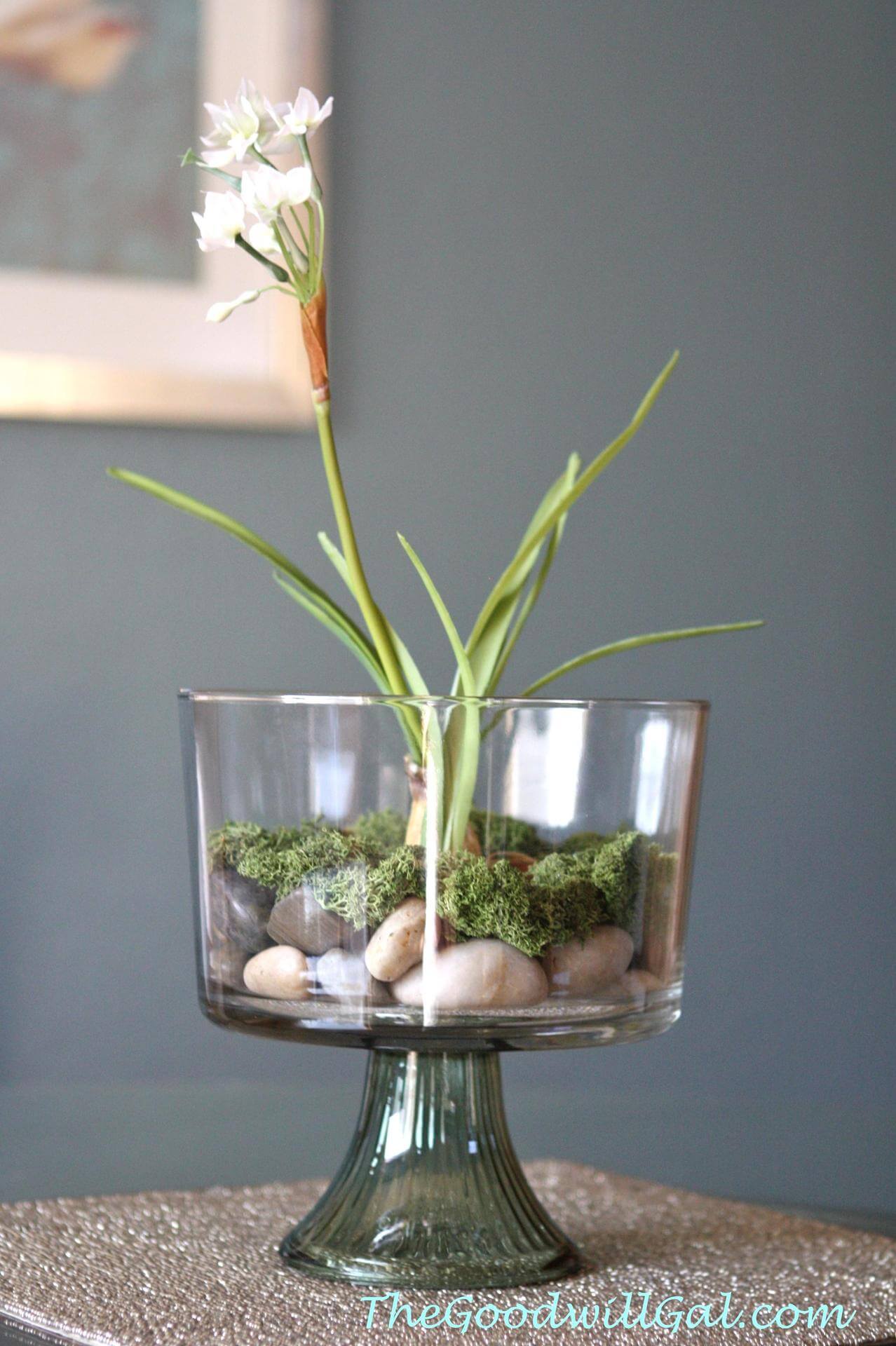 Centerpiece Simplicity with a Single Paperwhite