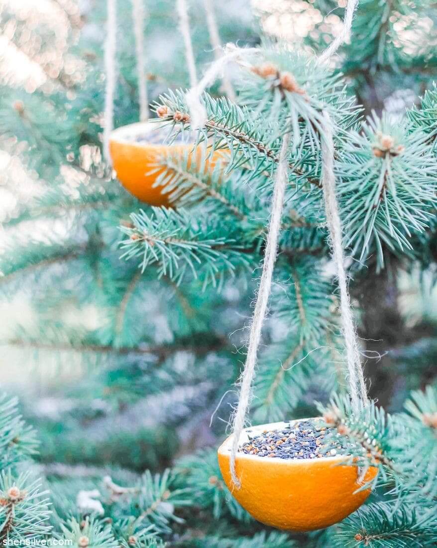 Charming Hanging Orange Bird Feeders