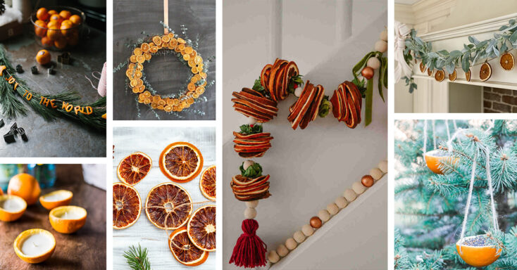 Featured image for 17 Amazing DIY Orange Ornaments for that Perfect Splash of Color