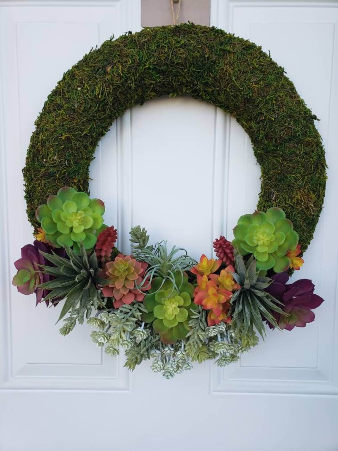 Plant Lover's Succulent Moss Wreath