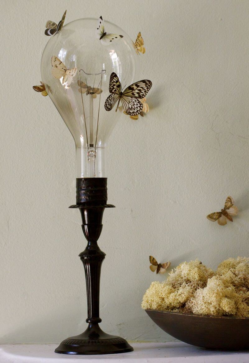 Vellum Moths and Butterflies Decorative Light