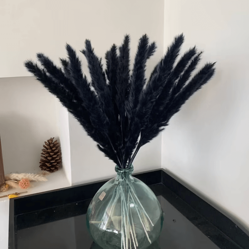 Dyed Black Pampas Grass Plumes for Decoratin