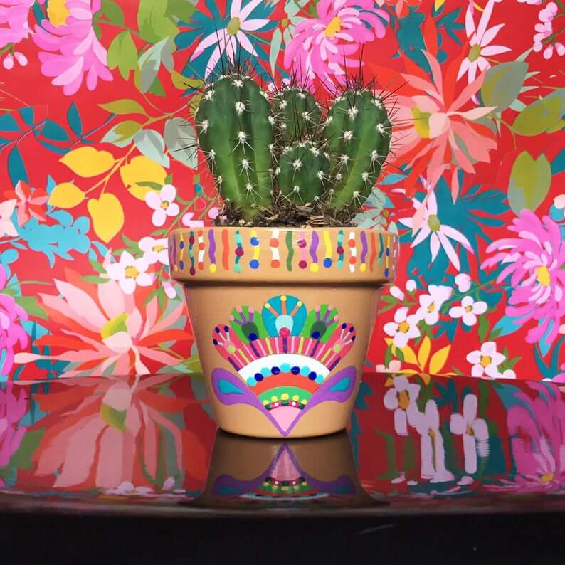 Vibrant Mini Succulent Flower Pots