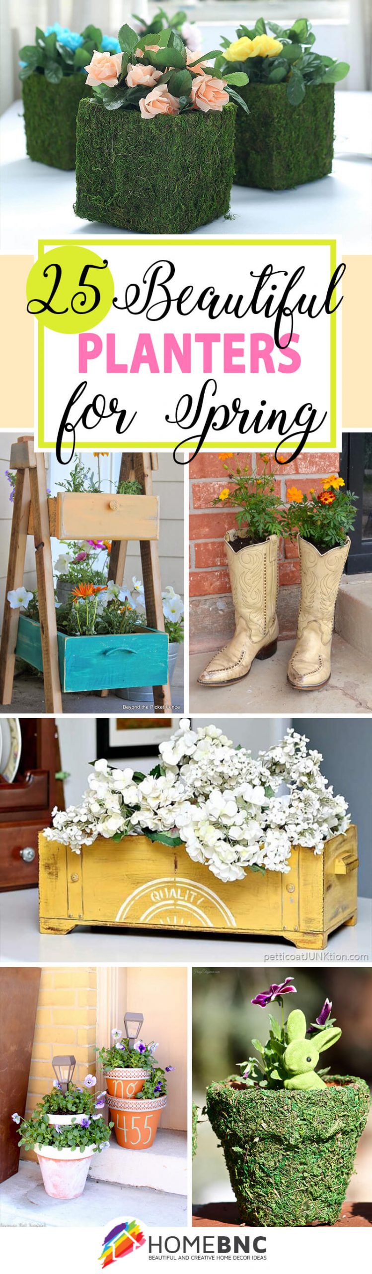 Best Spring Planter Ideas