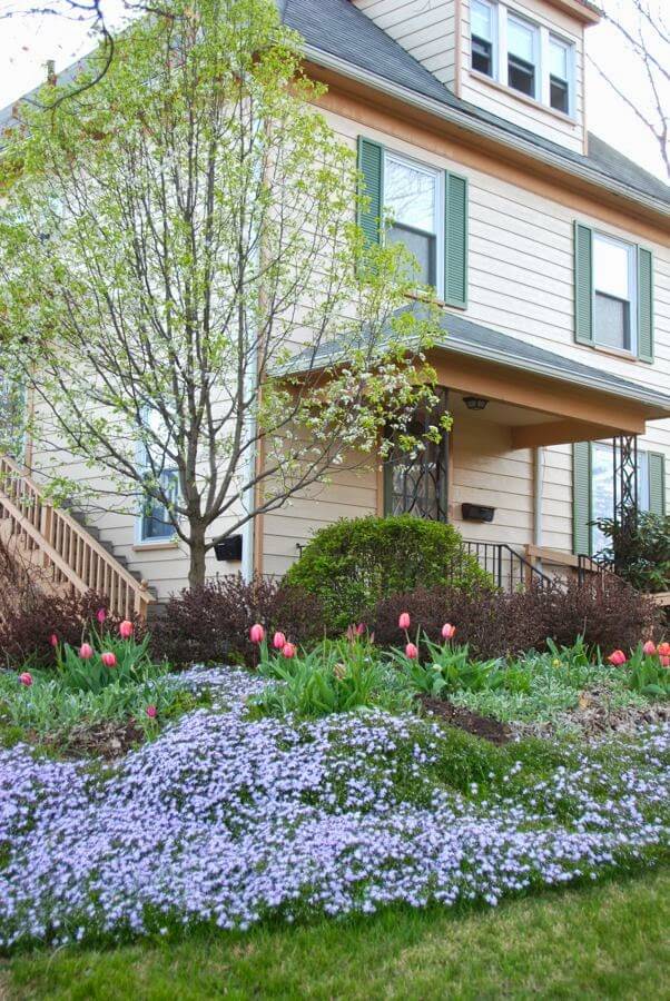 A Blooming Garden of Tulips to Leave an Impression