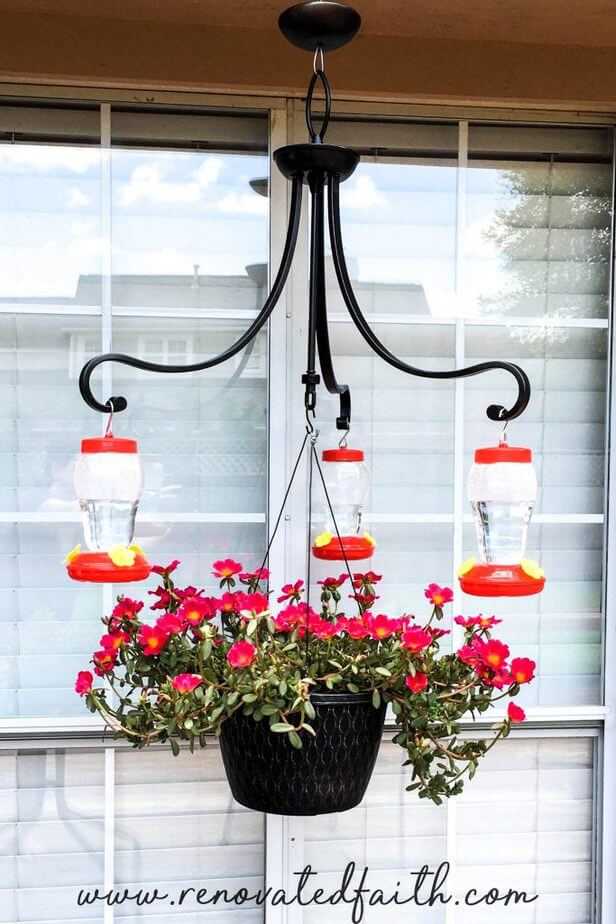 Elegant Renovated Chandelier Hummingbird Feeder