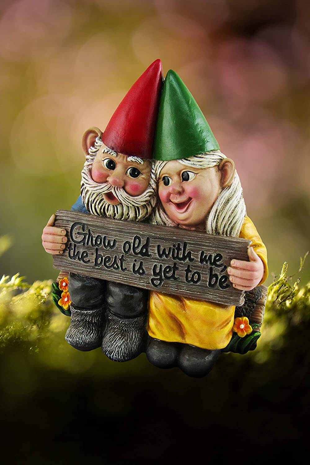 Garden Gnome Couple Growing Old Together Statue
