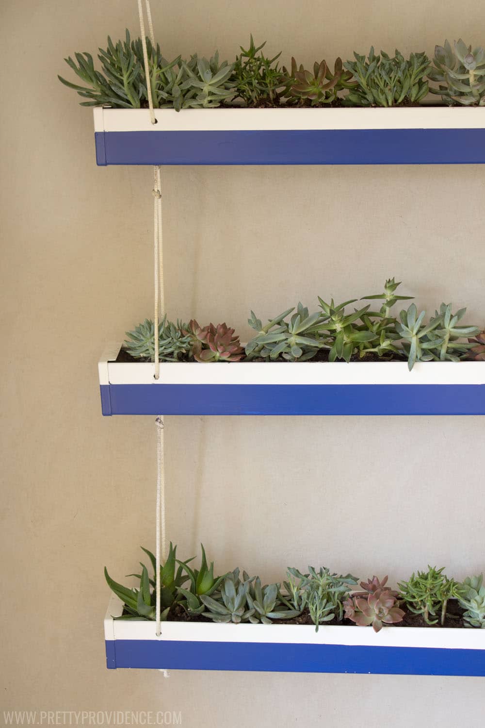 Repurposed Hanging Triple Succulent Planter