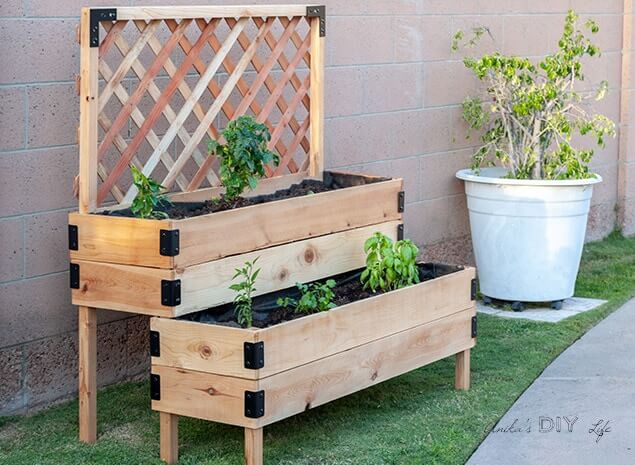 Double Raised Garden Bed with Lattice Backdrop