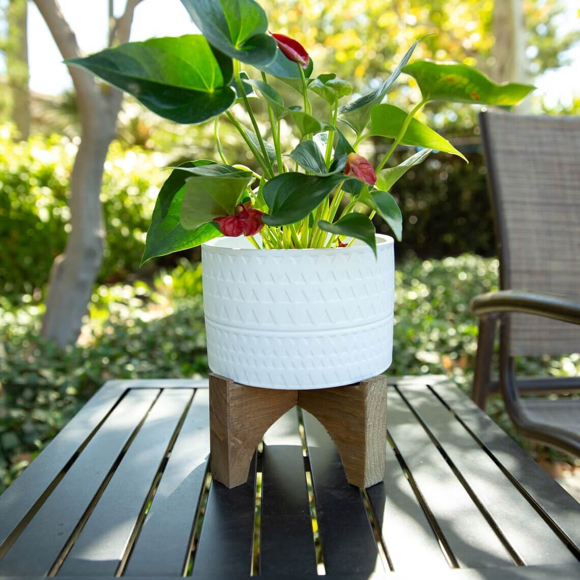 White Ceramic Planter with Thick Wooden Base