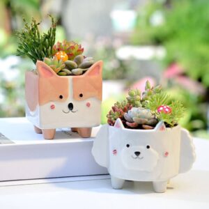 25 Best Ceramic Animal Planters that Will Bring Your Decor to Life in 2023