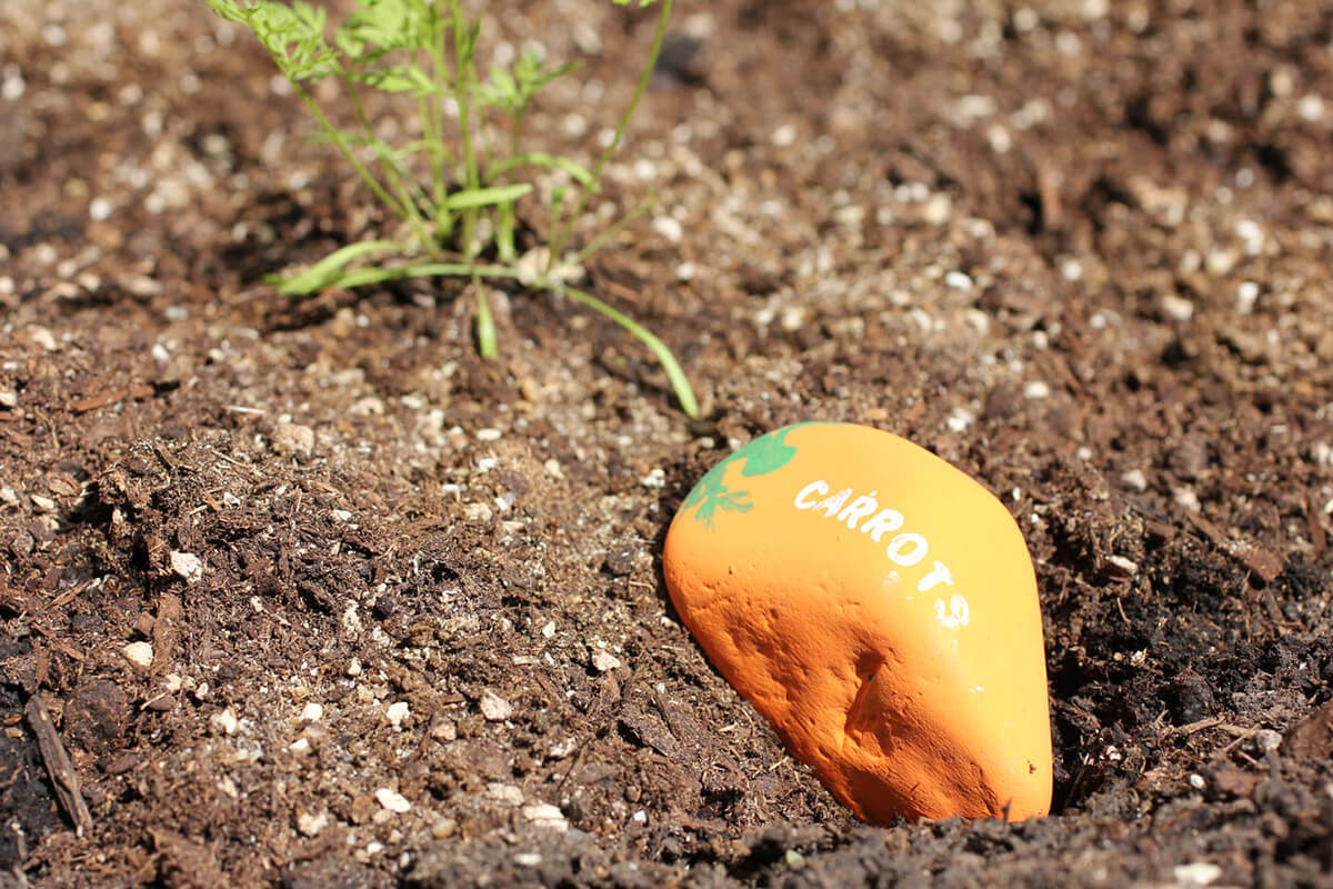 Adorable Painted Stone Garden Markers