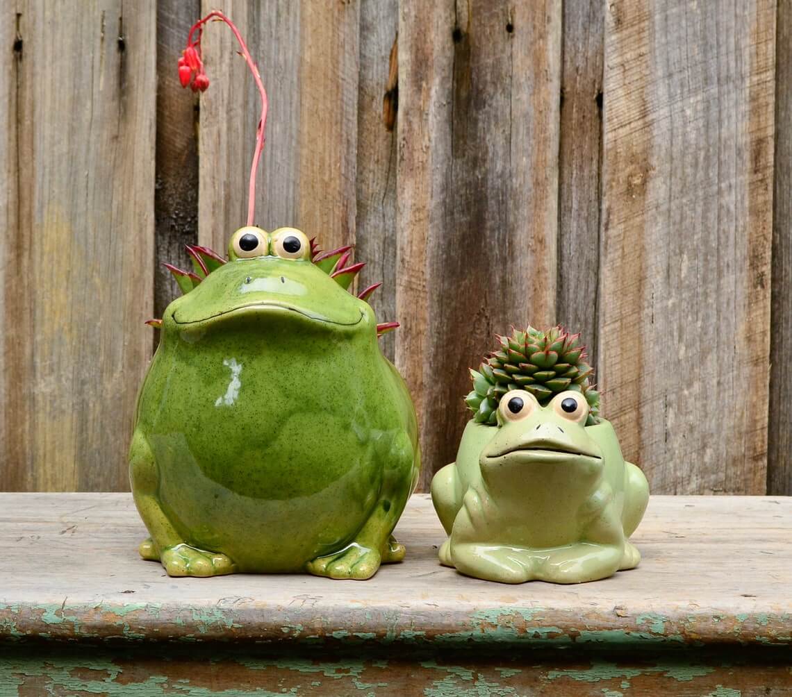 Green Frog Ceramic Planters in Two Sizes