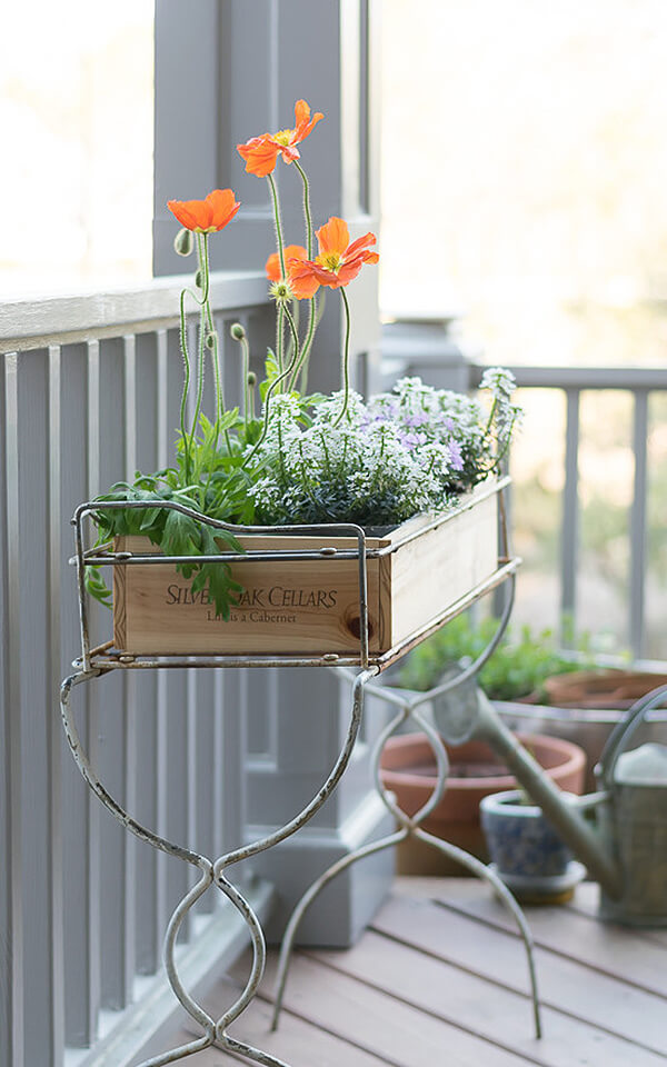 Adorably Cute Country Box Filled with Love For Your Enjoyment