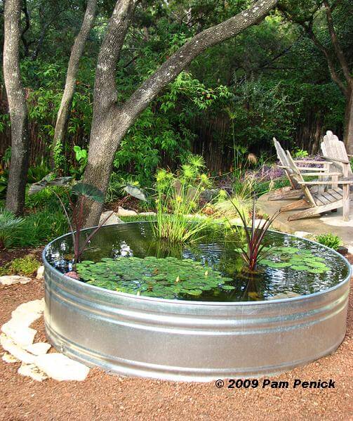 Backyard Pond Made From a Stock Tank