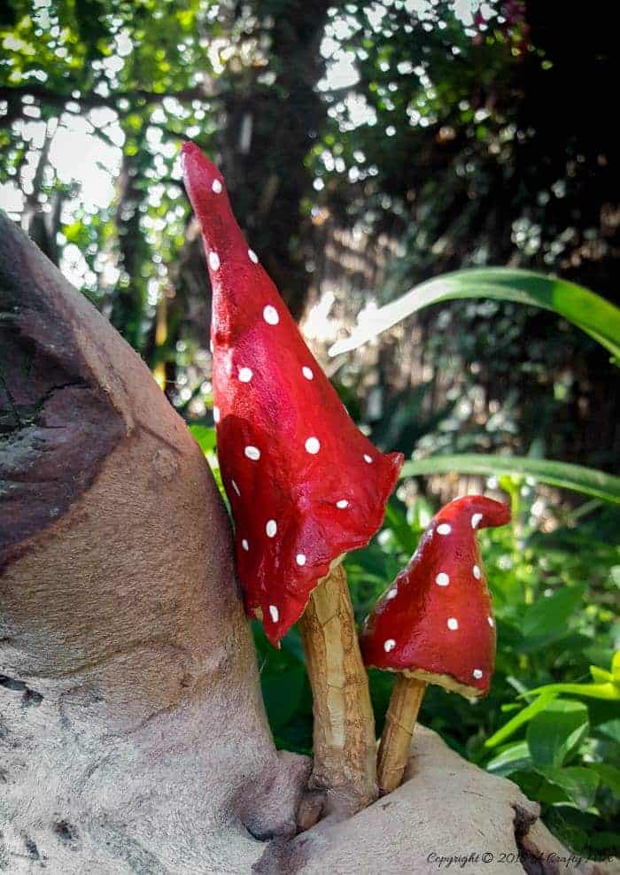 Cool Baked Cotton Mushroom Designs