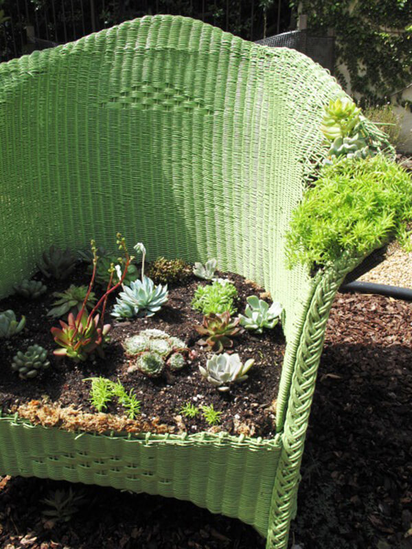 A Succulent Seat Fit for Tw