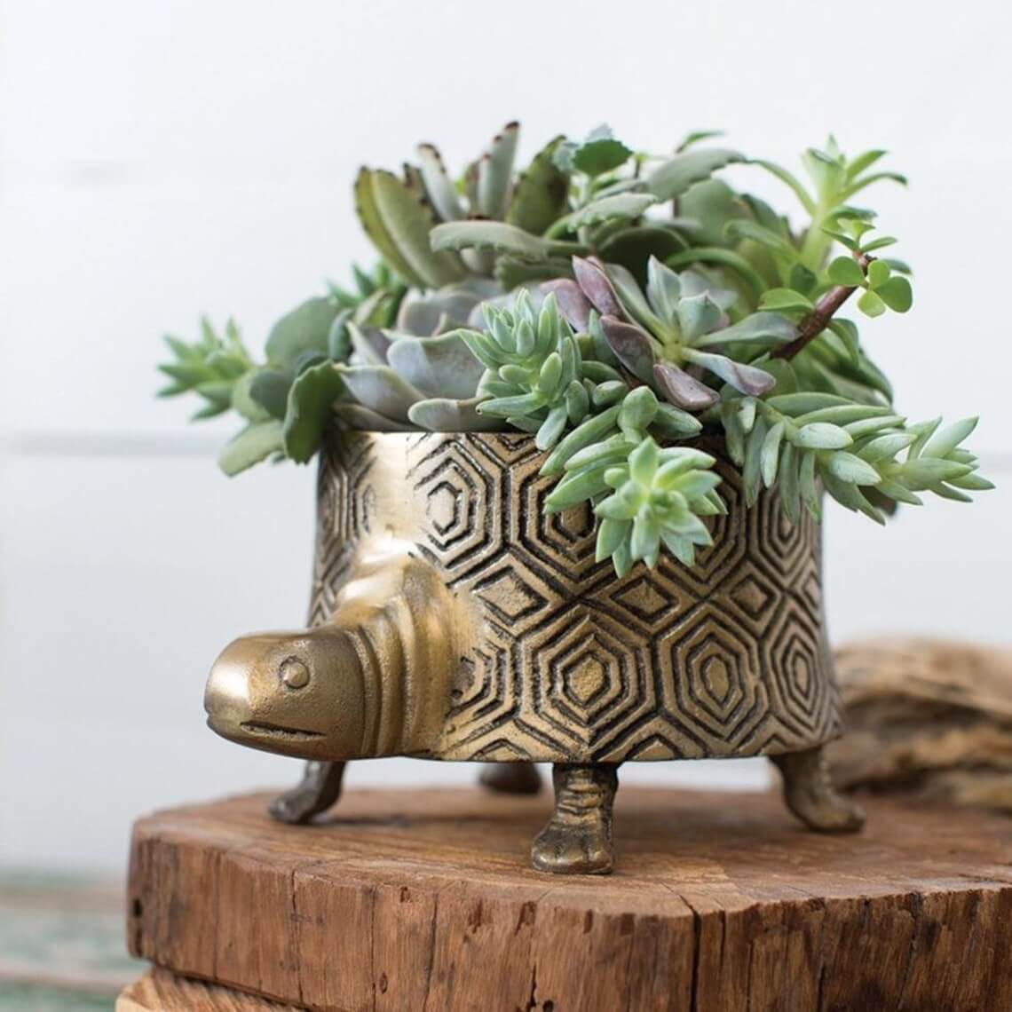 Gold Turtle Planter with a Hexagon Pattern