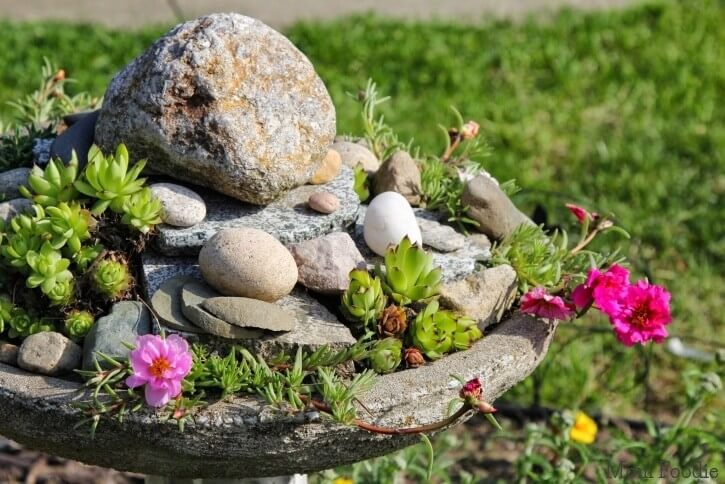 Bird Bath Succulent Garden with River Stones