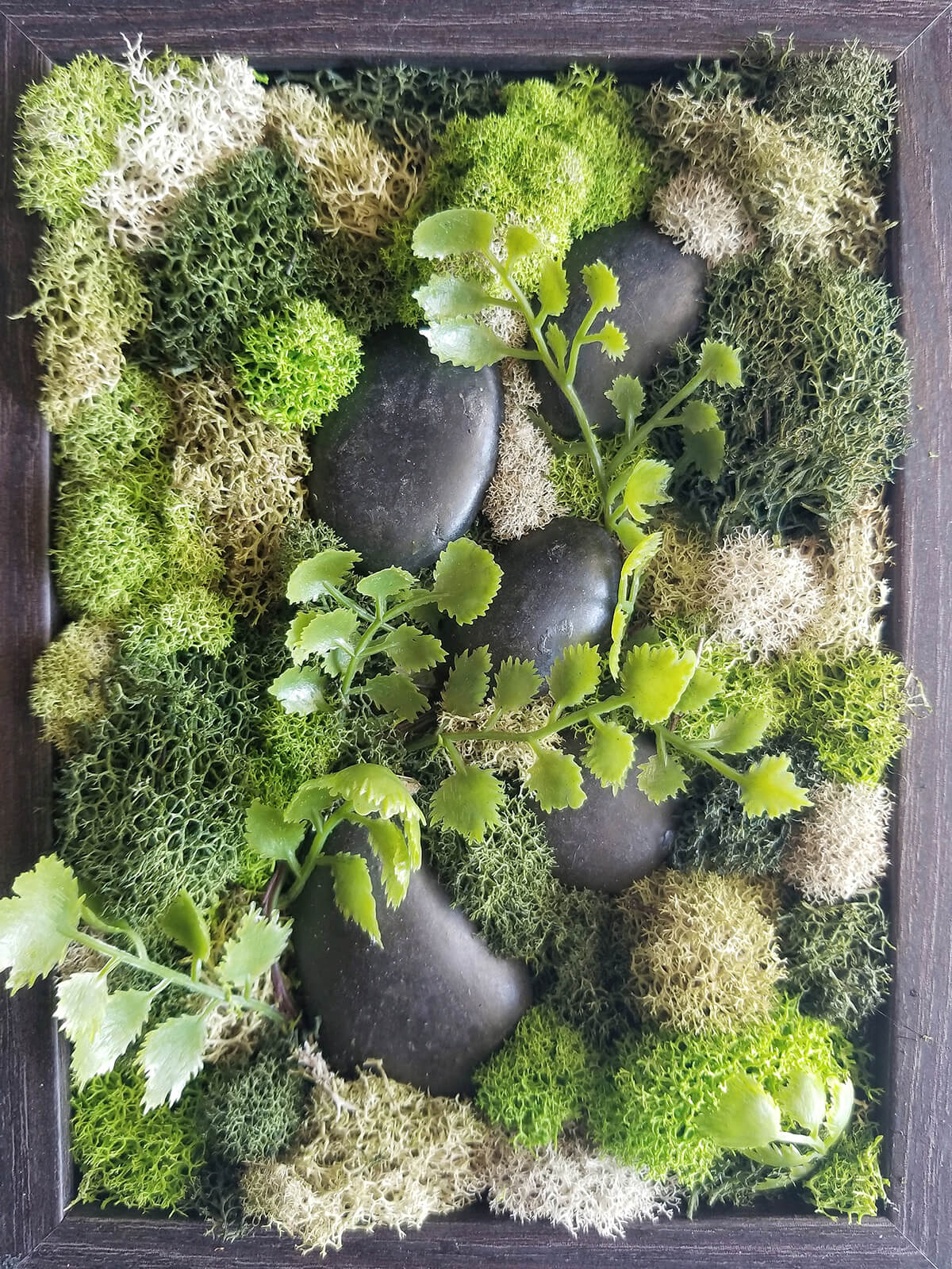 Stone and Moss Living Nature Box