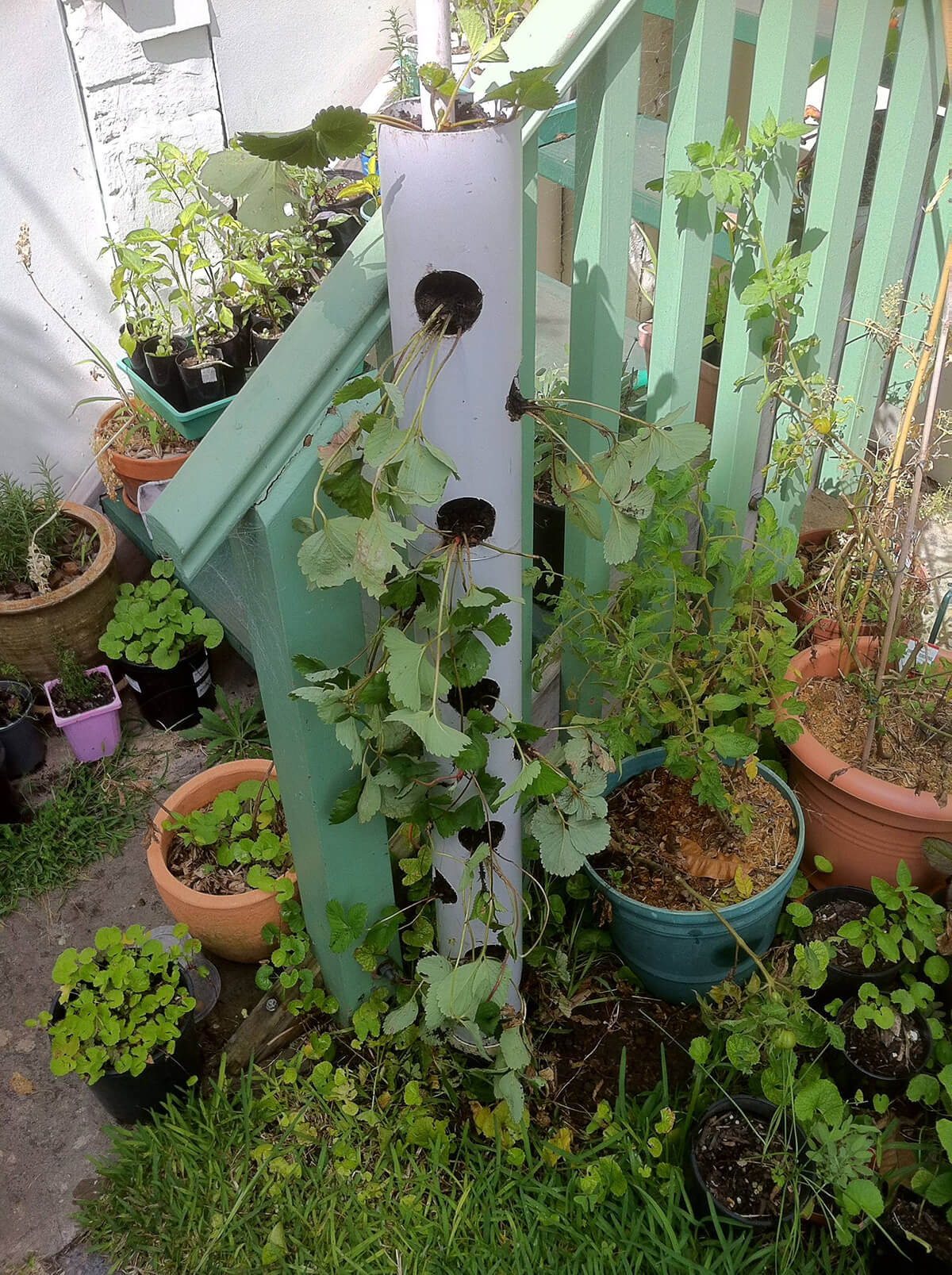 Repurposed Bird Feeder Garden Planter