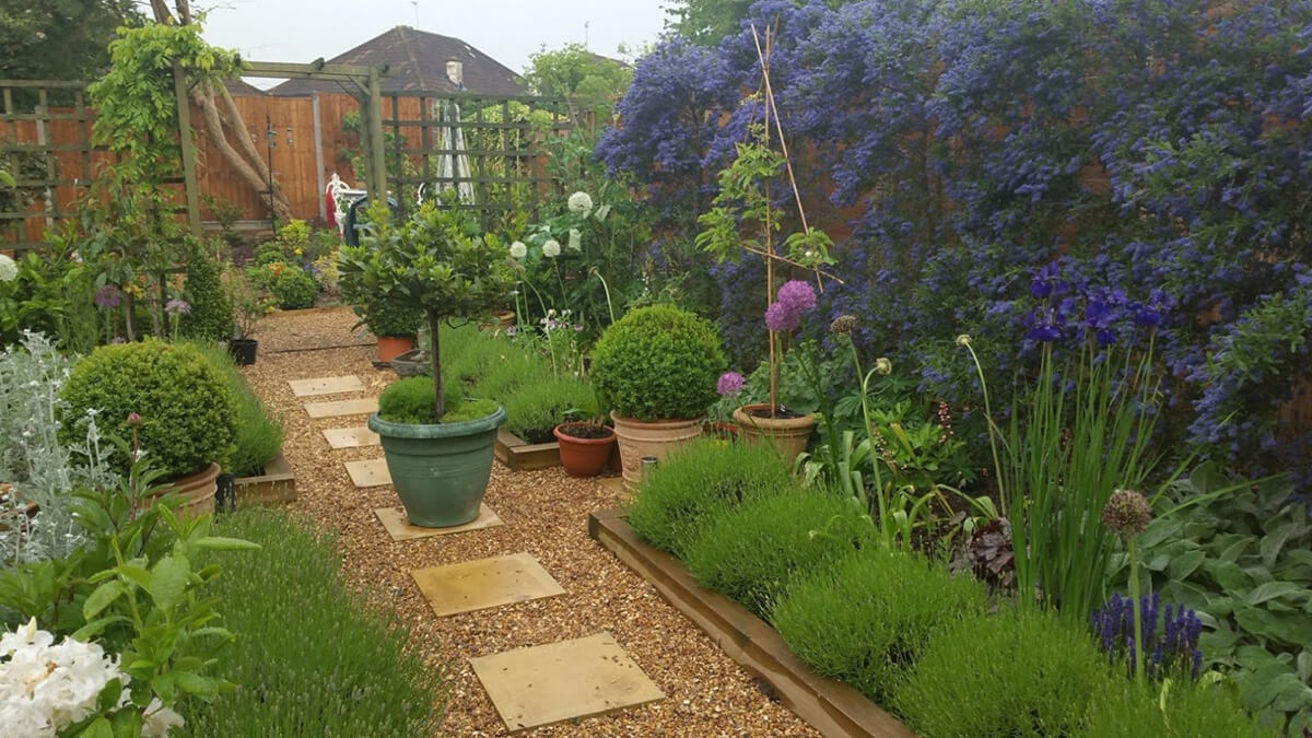 Large Vibrant Walkthrough Garden Oasis