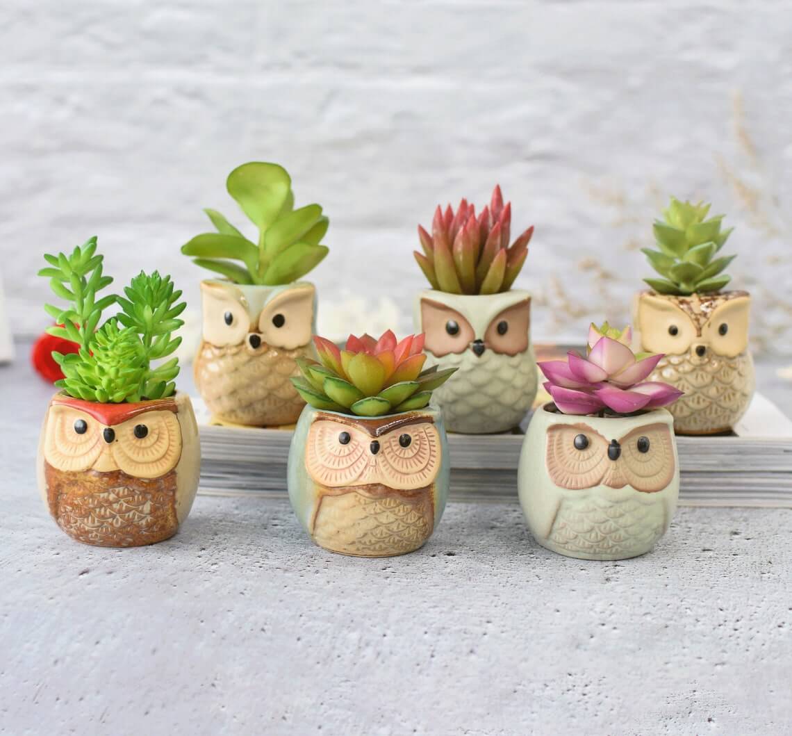 Six Whimsical Yet Wise Owl Planters