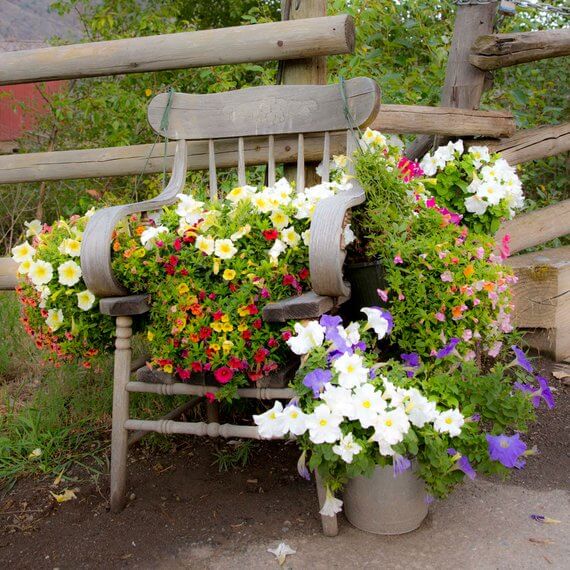 A Floral Extravaganza Garden Chair Planter