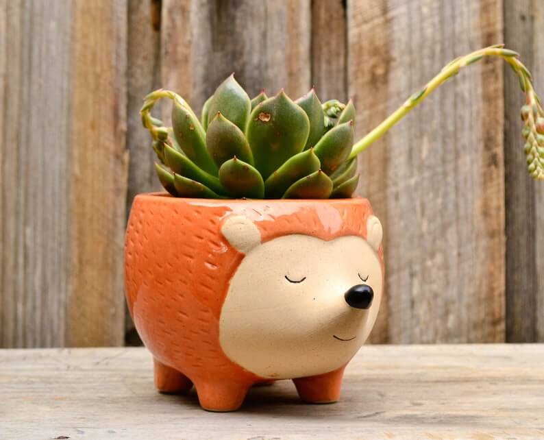 Untroubled Hedgehog Ceramic Animal Planter Ideas