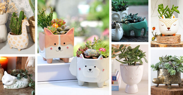 Featured image for 25 Ways Ceramic Animal Planters that Will Bring Your Decor to Life