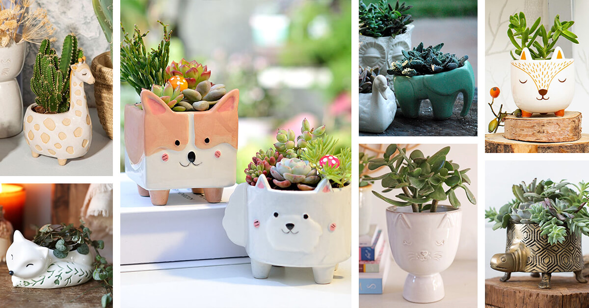 25 Best Ceramic Animal Planters that Will Bring Your Decor to Life in 2022