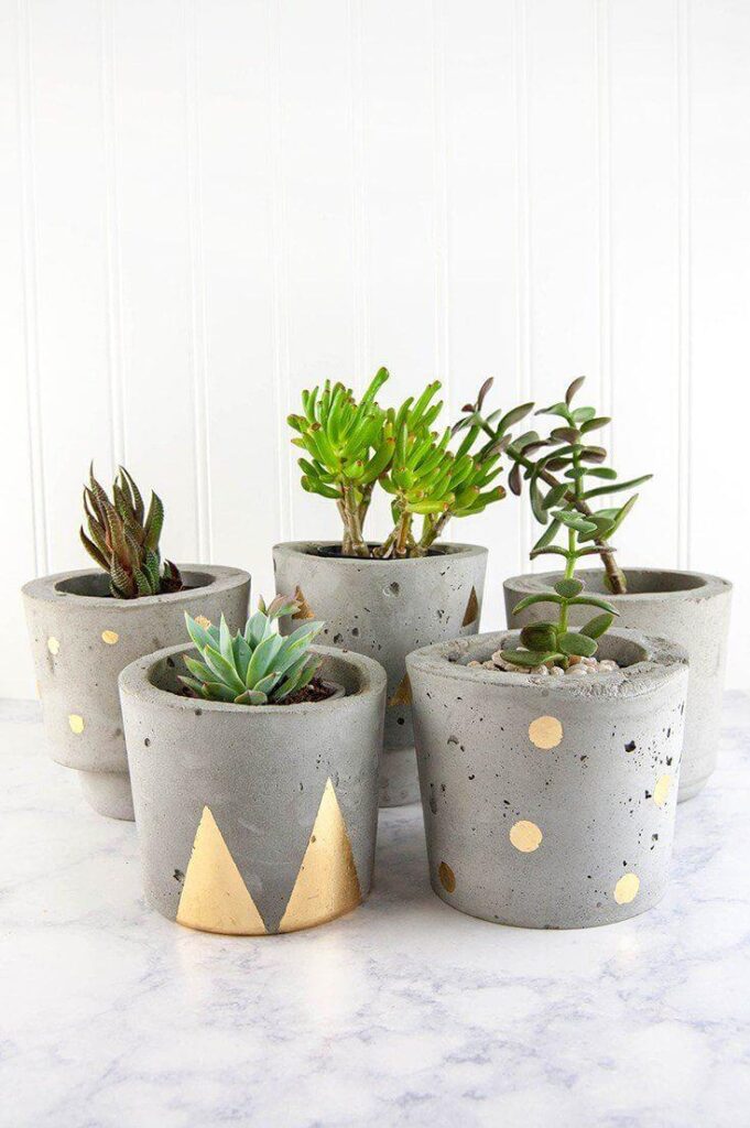 20 Best DIY Concrete Planter Ideas to Try in 2024