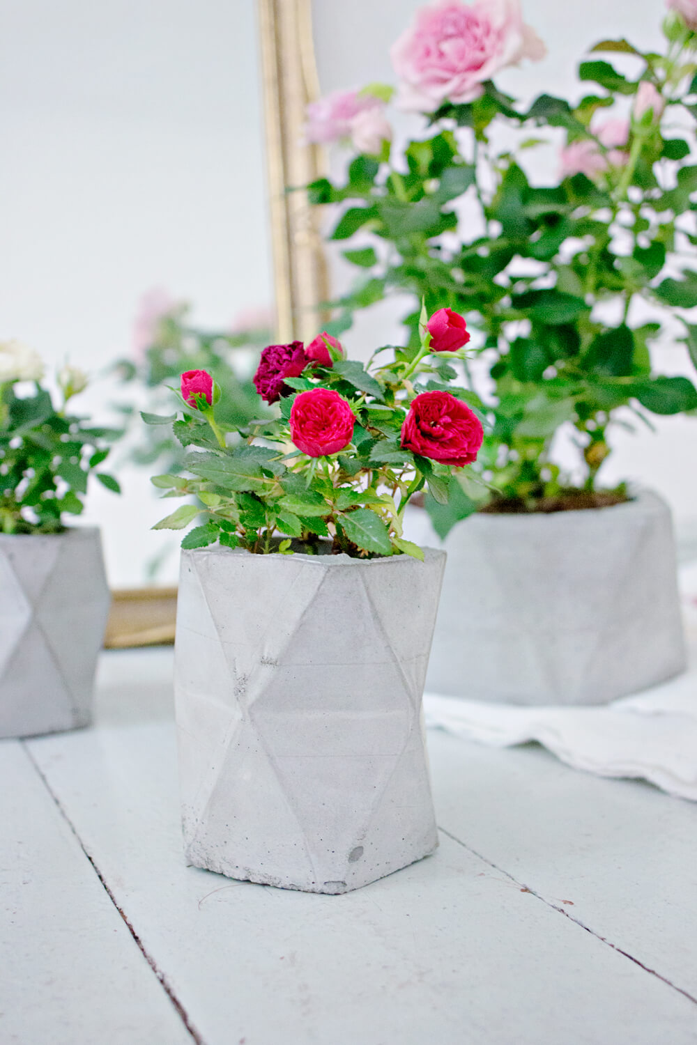 8. Architectural Concrete Planter