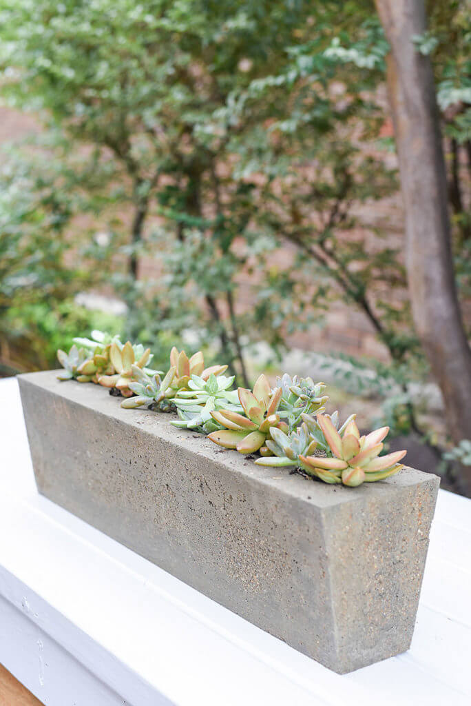 Molded Concrete Planter Inspired by Sugar Molds