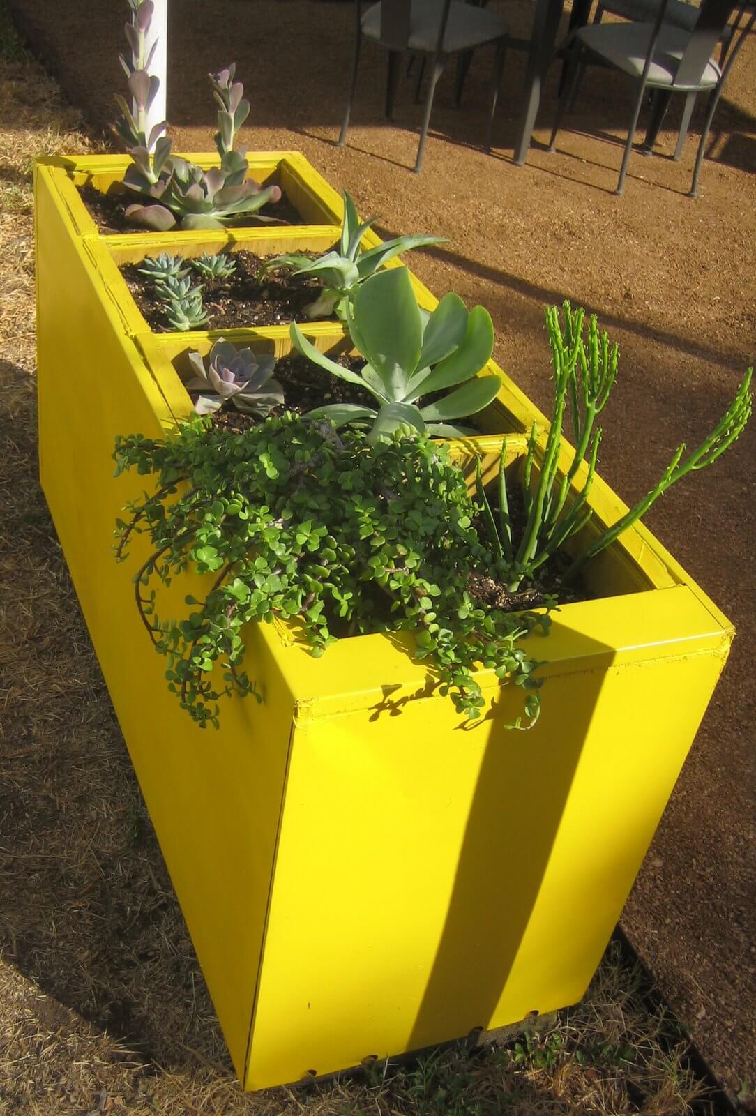 Vibrant Raised Garden That Makes a Statement