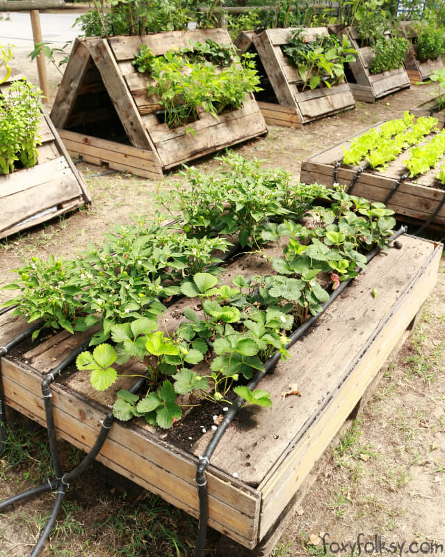 Best Easy DIY Raised Bed Garden Ideas - A Piece Of Rainbow