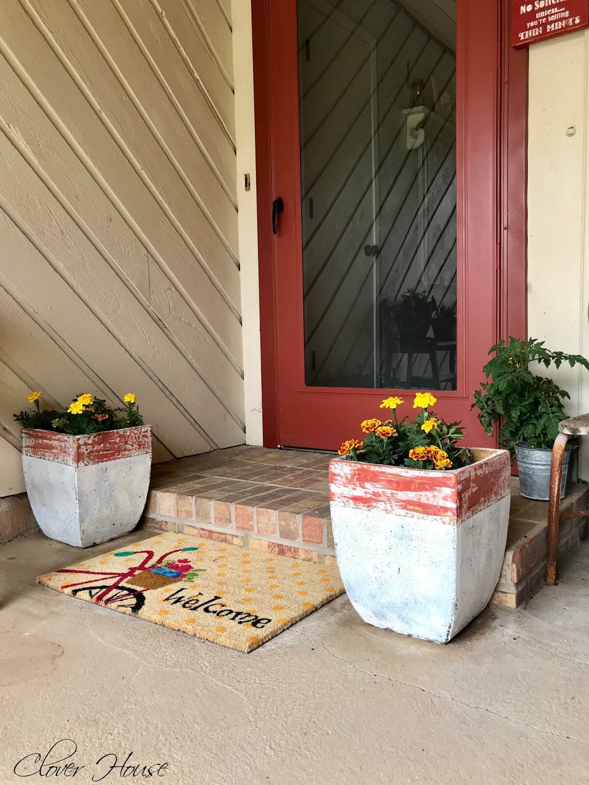 Giving Your Concrete Planters a Rustic Refresh