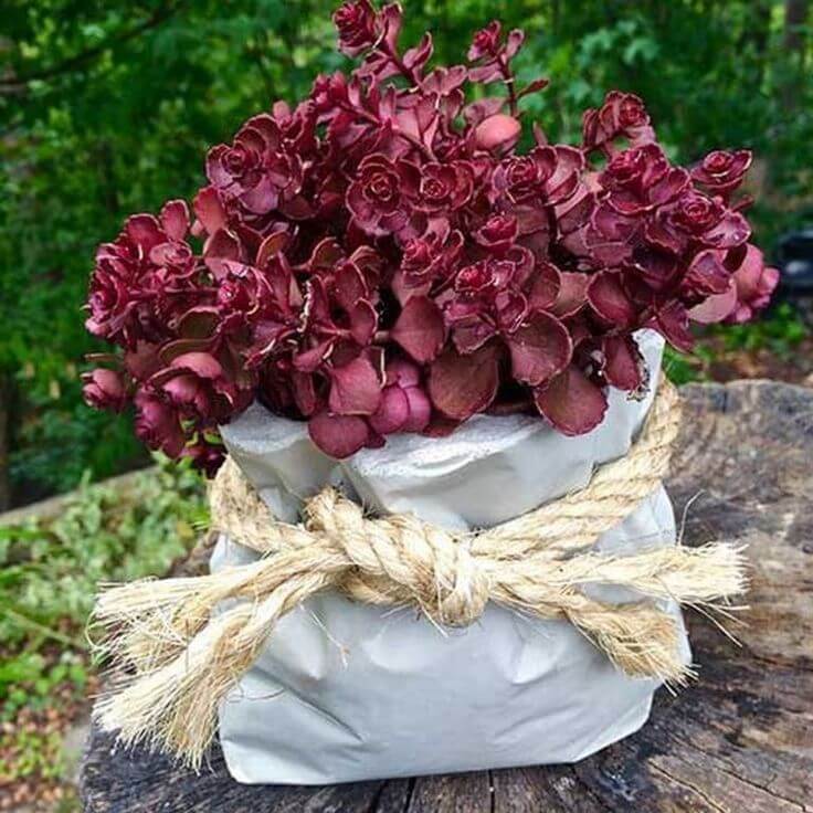 Tied Bag Handmade Cement Pots Ideas